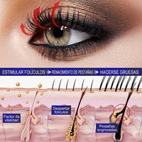 LashGrow Max™ – Pestañas Más Largas y Densas en 28 Días