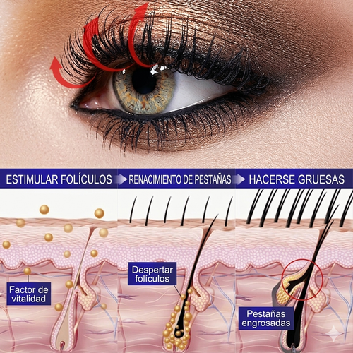 LashGrow Max™ – Pestañas Más Largas y Densas en 28 Días